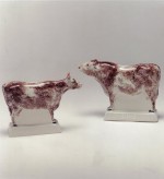BROWN  SPONGED BULL & COW PR