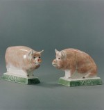RYE BOAR & SOW PR  PINK