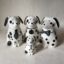 Rye Pottery Hand made and hand decorated ceramic Puppies and Dogs