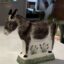 Rye-Pottery-Hand-made-hand-painted-Traditional-Ceramic-Donkeys-Perfect-Gift-for-the-Donkey-and-Horse-lovers-in-your-lif